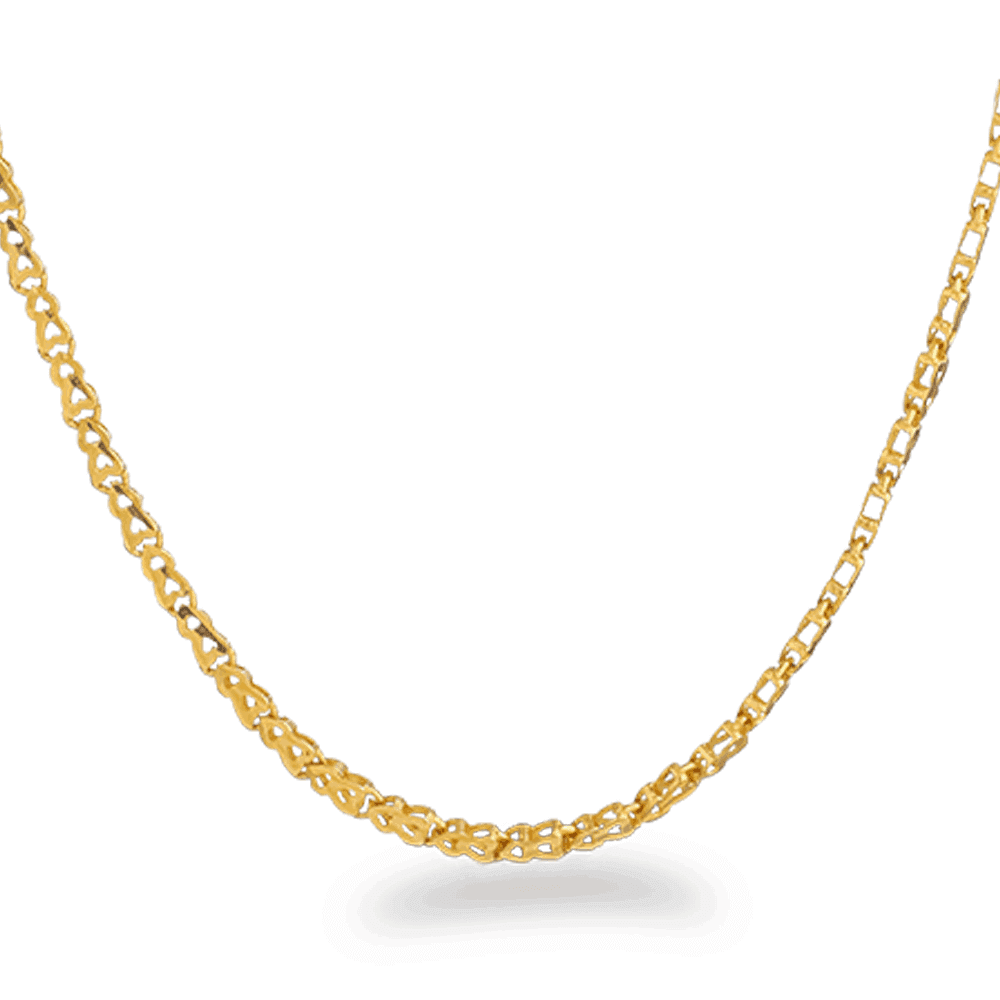 22ct Gold Fancy Chain in 22 Inches 22068 - 22ct Gold Fancy Chain in 22 Inches