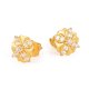 22ct Gold Earring with CZ Stones