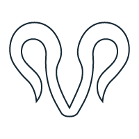 ARIES